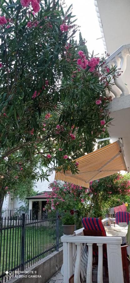 Apartments Beba Zalad Сутоморе Экстерьер фото